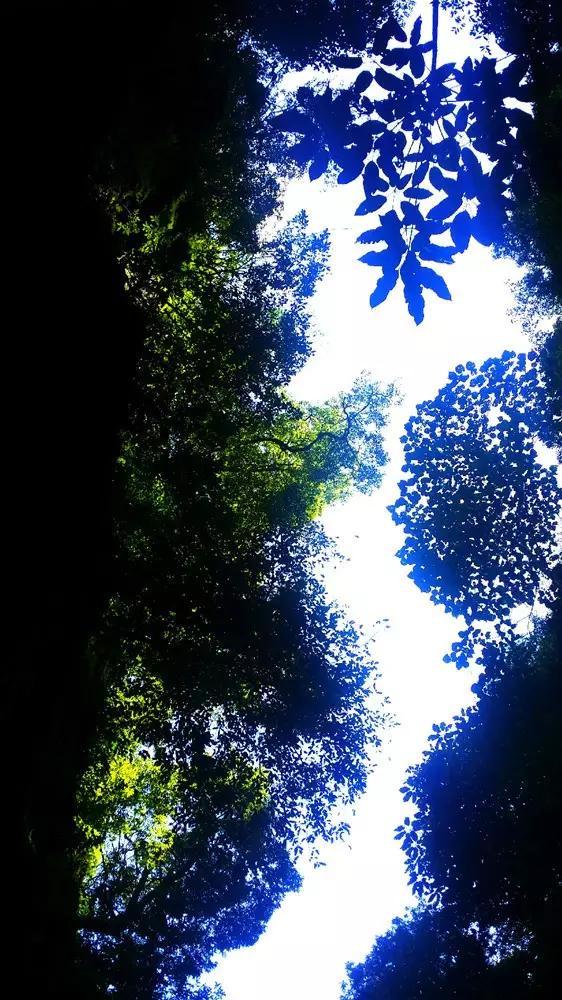 永恒边境